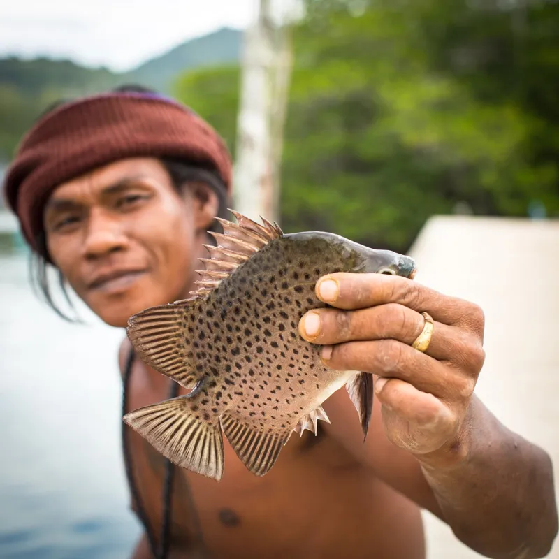 כפר הדייגים קו סמוי דיי מקומי תפס דג